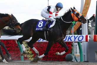 ホッコータルマエ号