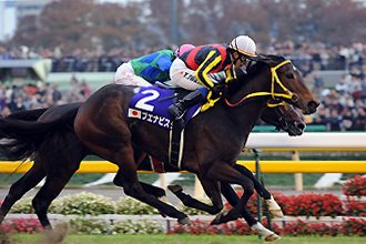 ジャパンカップ Jra 欧州最強牝馬 オルフェーヴル最大のライバル デインドリーム 凱旋門賞 Naver まとめ