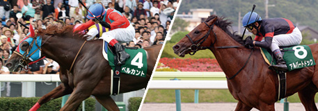 2017サマーシリーズ