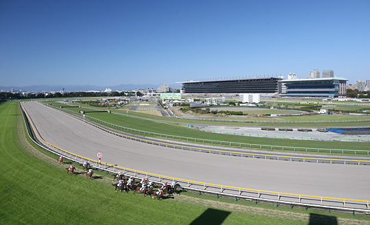 「東京競馬場　画像　」の画像検索結果