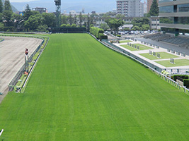 正面直線(1コーナータワーより)