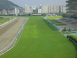 正面直線(1コーナータワーより)
