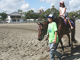 乗馬試乗会