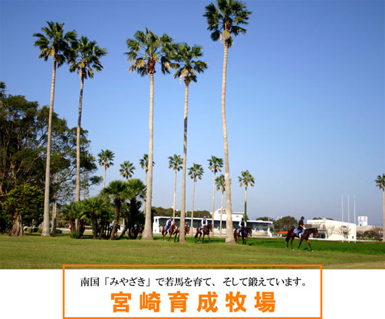 �{��琬�q��