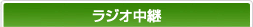 ���W�I���p