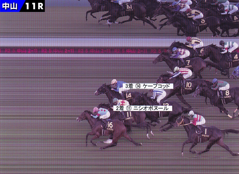 中山競馬　5回　2日目2 YouTube動画>1本 ->画像>9枚 