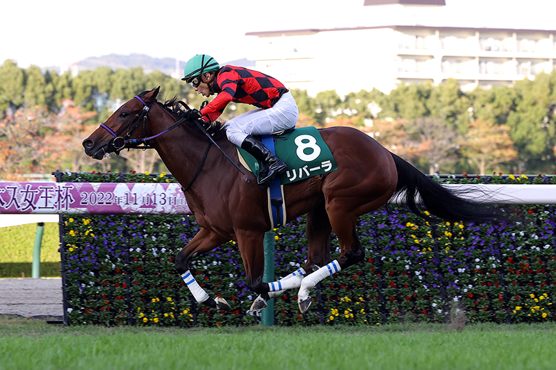 JRA単勝馬券【ダンツシリウス阪神競馬5回2日11レース】1997年11月30日-