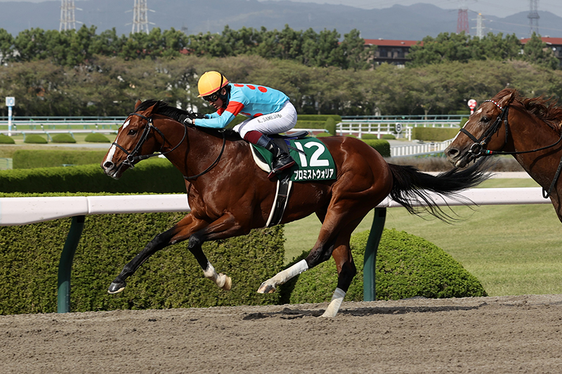 JRA単勝馬券【ダンツシリウス 阪神競馬2回6日11レース】1998年4月12日-