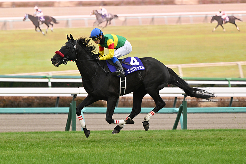 �S�[���O�ʐ^