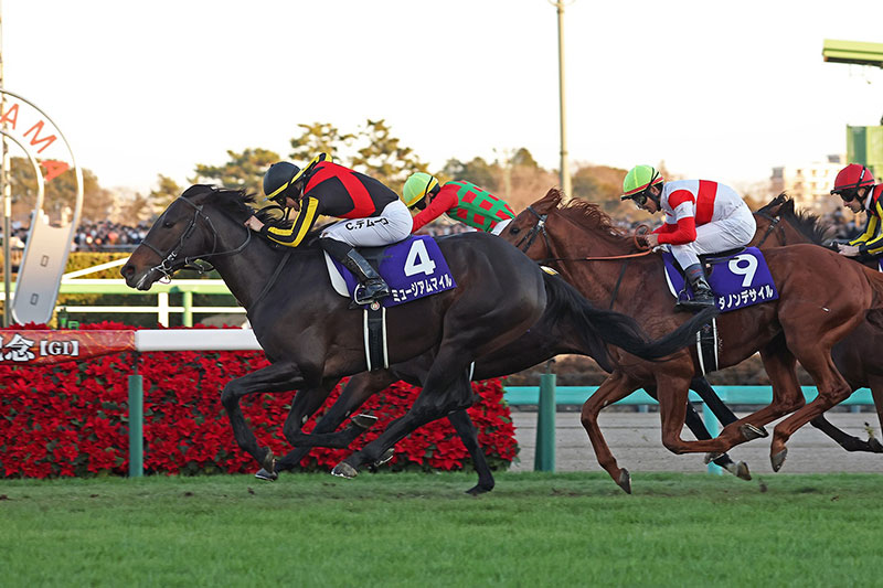 �S�[���O�ʐ^