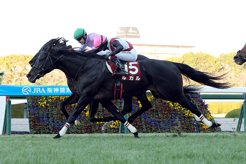 �S�[���O�ʐ^