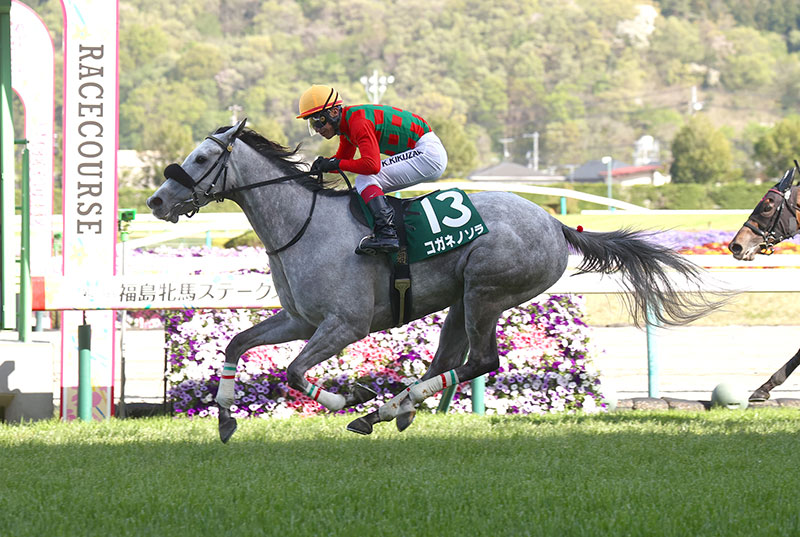 �S�[���O�ʐ^