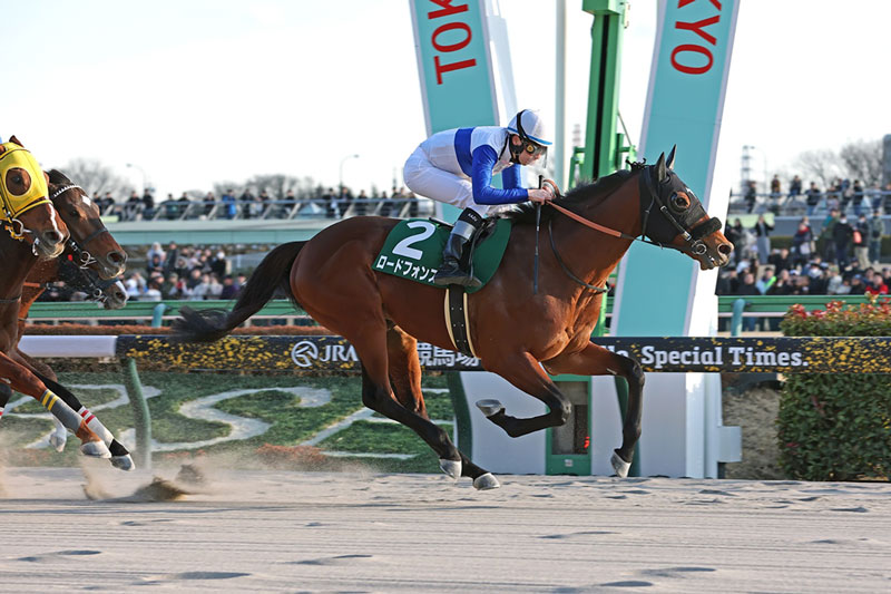 �S�[���O�ʐ^