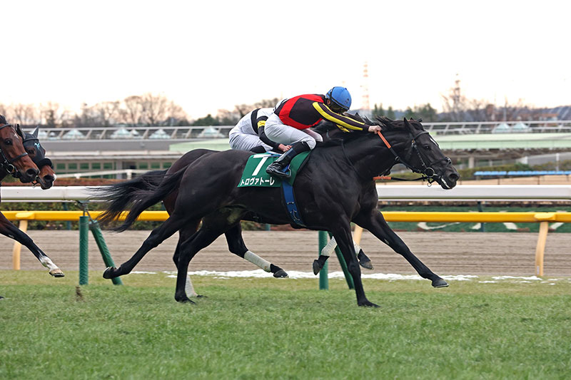 �S�[���O�ʐ^