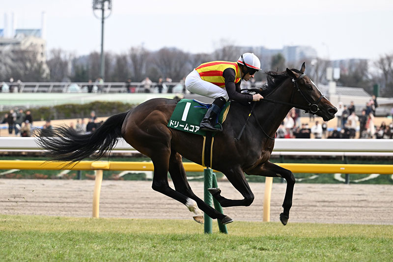 �S�[���O�ʐ^