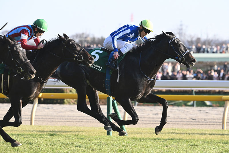 �S�[���O�ʐ^