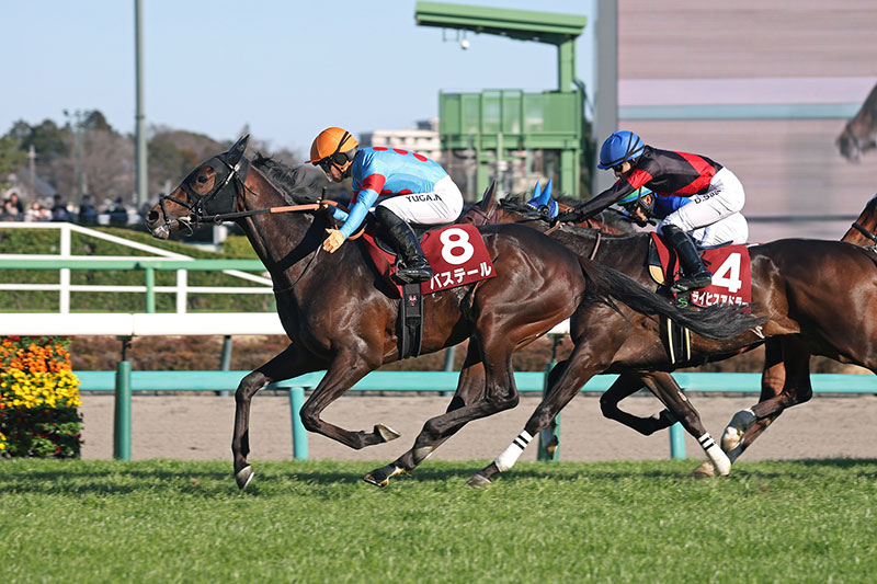 �S�[���O�ʐ^