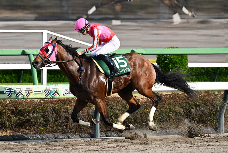 �S�[���O�ʐ^