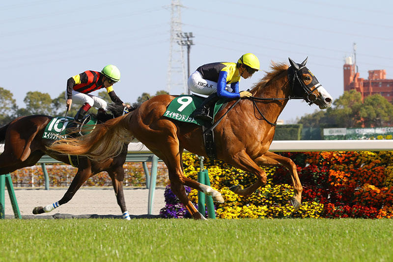 �S�[���O�ʐ^