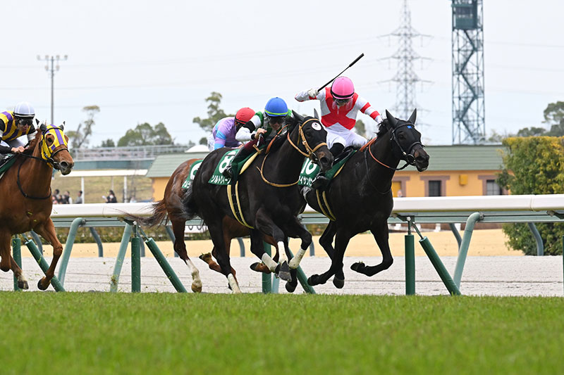 �S�[���O�ʐ^