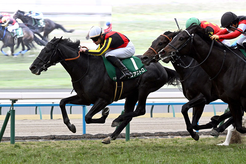 �S�[���O�ʐ^