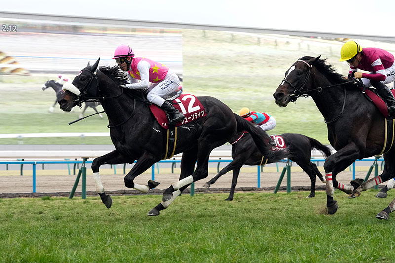 �S�[���O�ʐ^