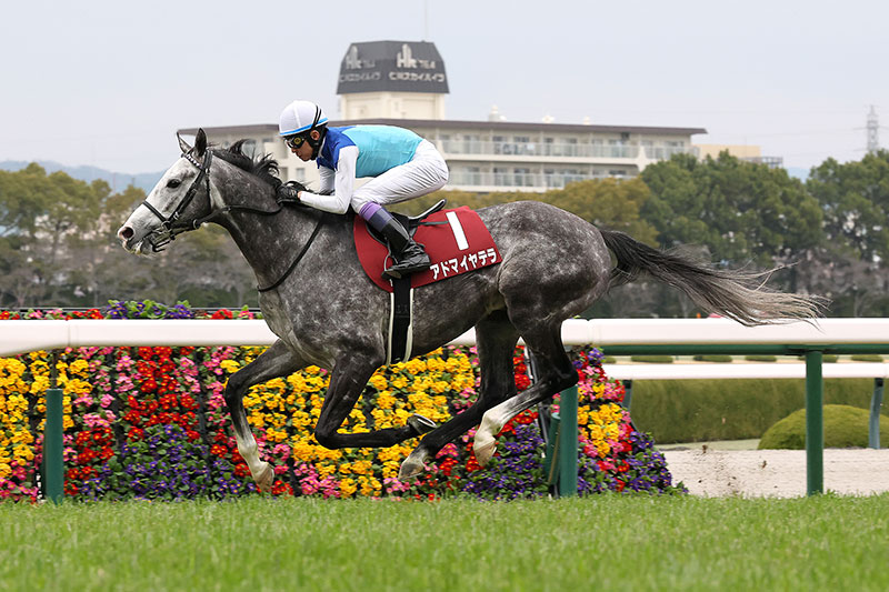 �S�[���O�ʐ^