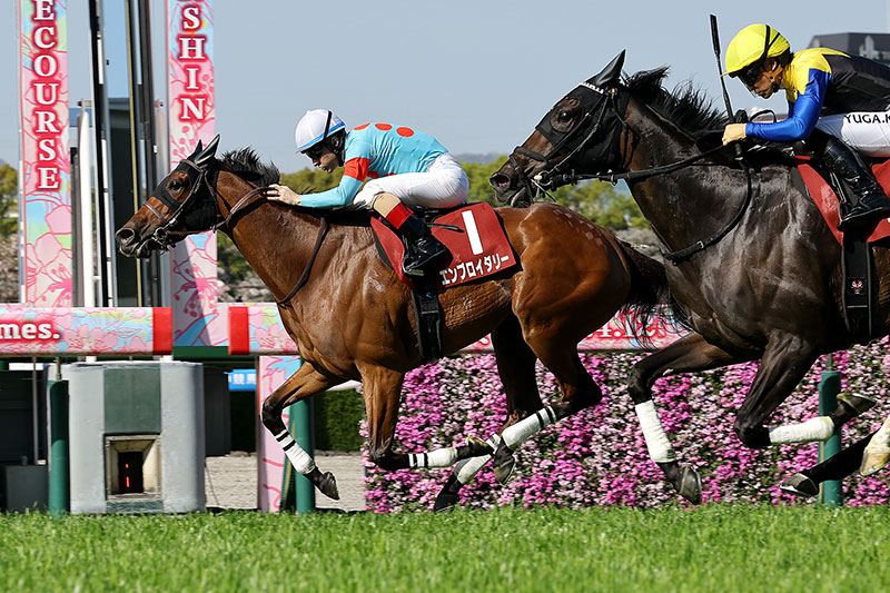 �S�[���O�ʐ^