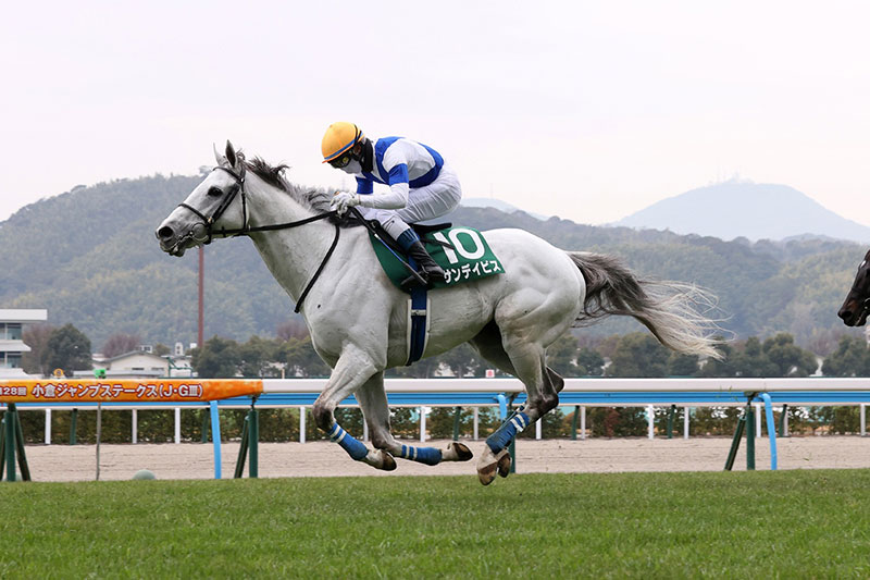 �S�[���O�ʐ^