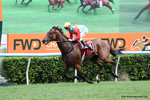 �S�[���O�ʐ^