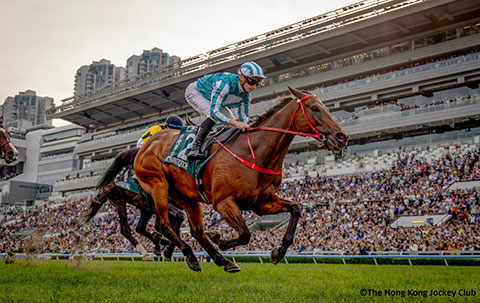 �S�[���O�ʐ^