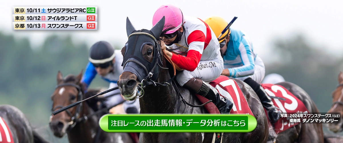 【現地観戦馬券】2020年　ジャパンカップ　1,2,3着馬券 現地観戦馬券】2020年 ジャパンカップ 1,2,3着馬券 現地観戦馬券