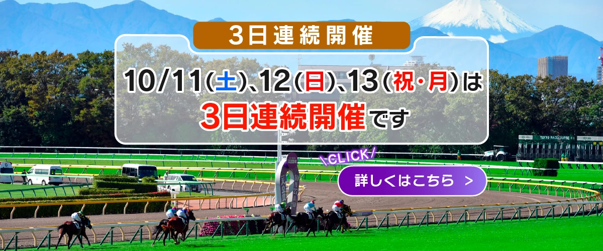 【現地観戦馬券】2020年　ジャパンカップ　1,2,3着馬券 現地観戦馬券】2020年 ジャパンカップ 1,2,3着馬券 Yahoo