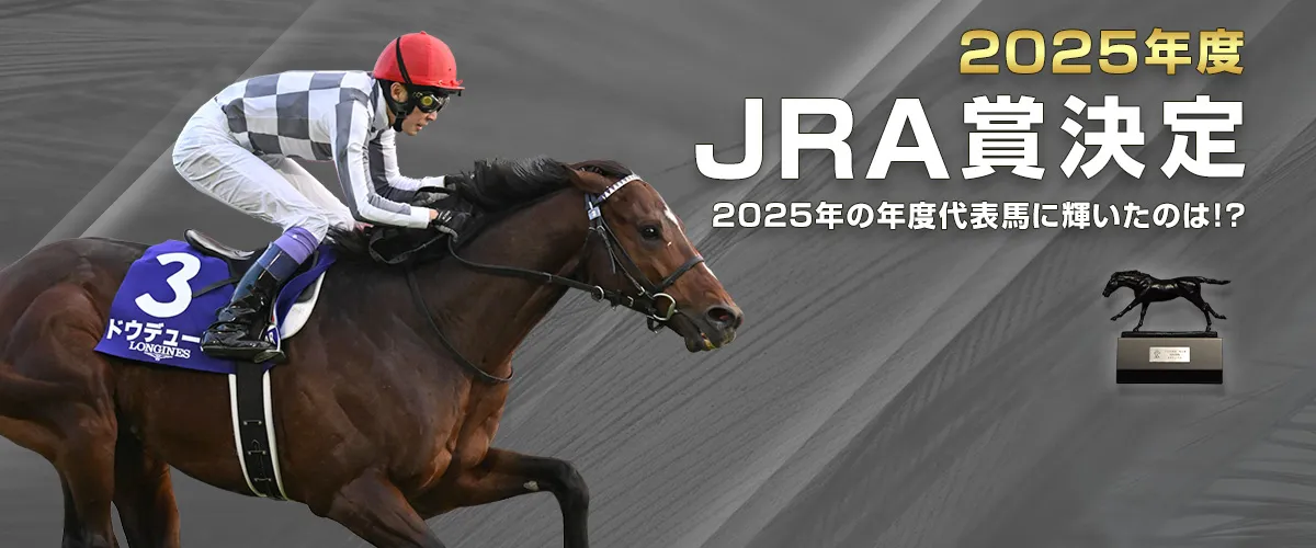 �j�Z���j�W���E�S�l���h�W�F�C�A�[���G�[�V���E�P�b�e�C