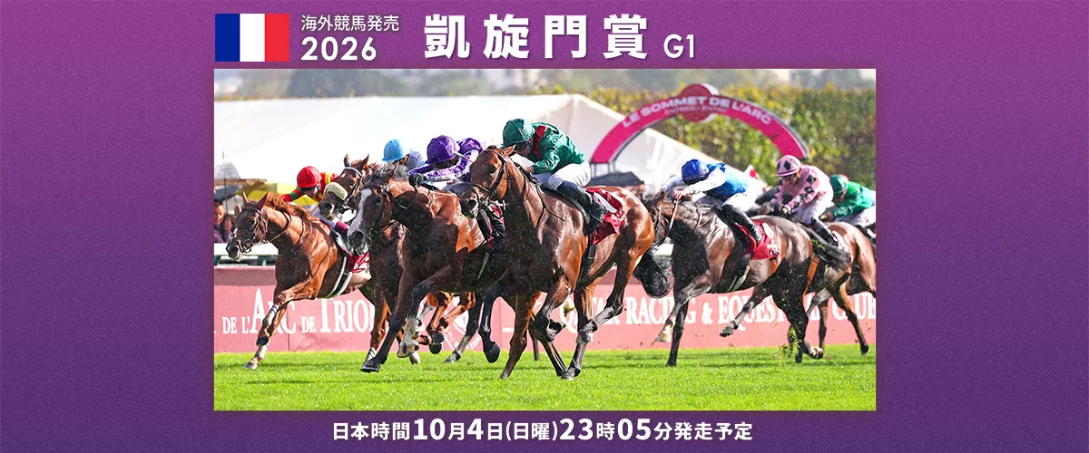2026�K�C�Z�������V���E
