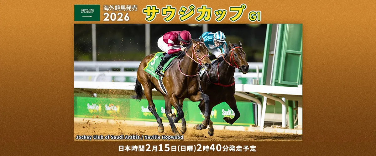 2026�T�E�W�J�b�v