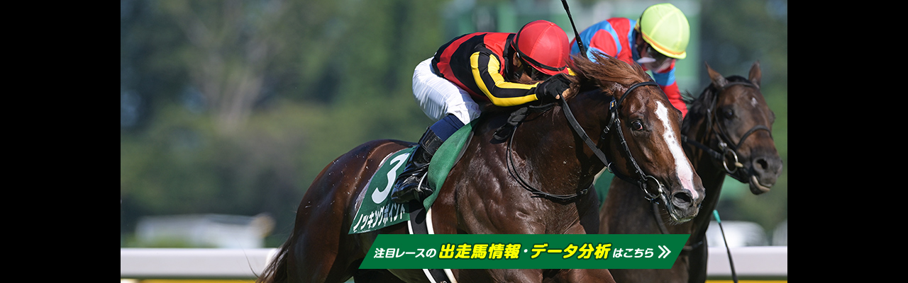 家宝級競馬アイテムを探せ！～「ウマ娘」にも登場する競走馬の紙
