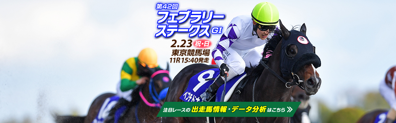 JRA 中山競馬場 祀り 有馬記念 ウェルカムチャンス おうまさんイヤーマフ 栗毛