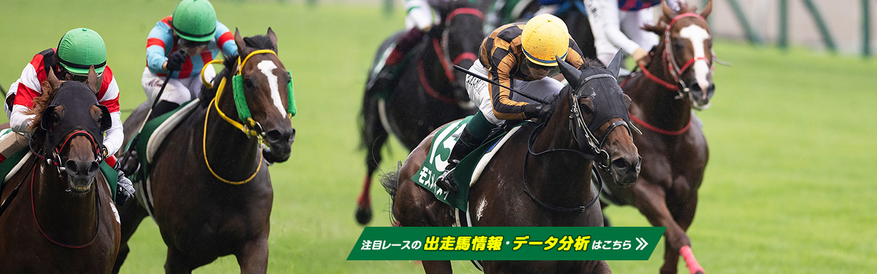 JRA日本中央競馬会