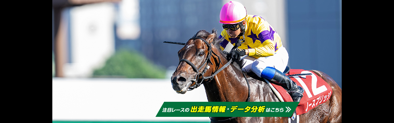 第89回日本ダービー　現地全頭単勝馬券&レーシングプログラム 第89回日本ダービー 現地全頭単勝馬券 ドウデュース イク