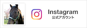 Instagram AJEg