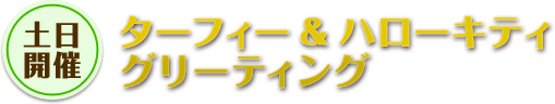 ターフィー&ハローキティグリーティング