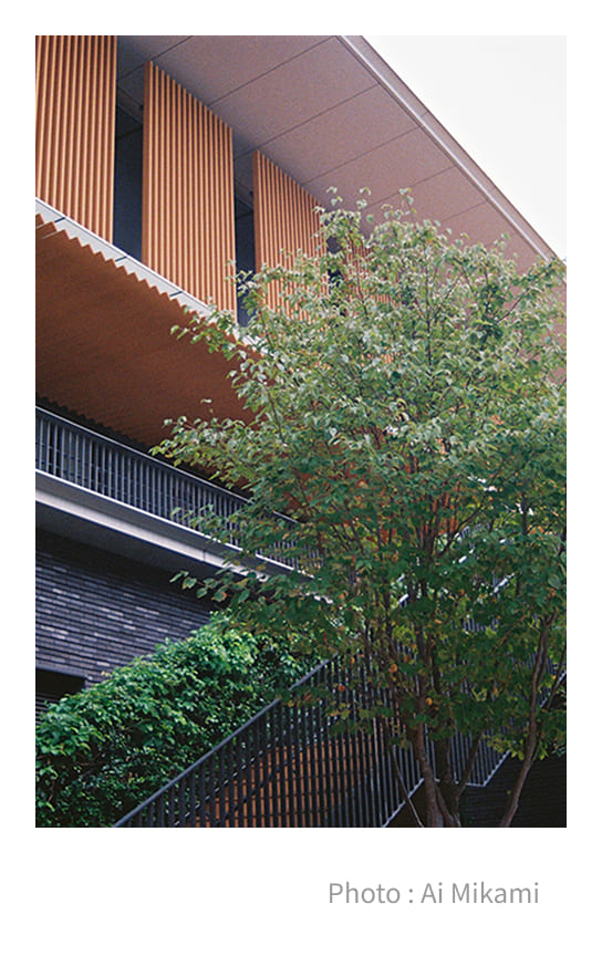 �����̕��i