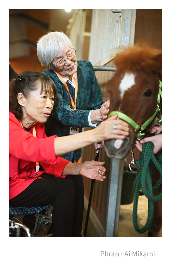 �n��ݗÖ@�̗l�q