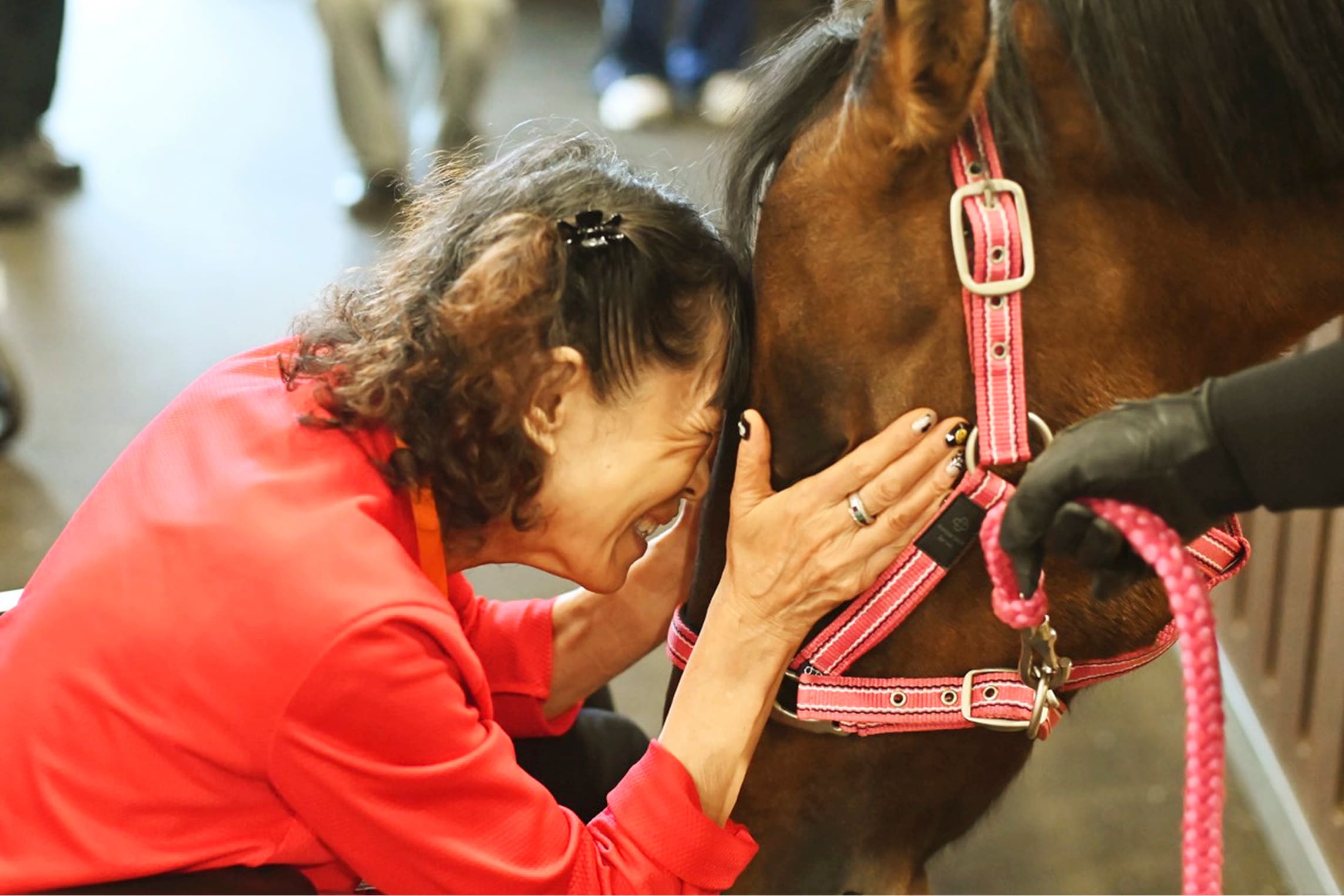 �C���^�r���[�̗l�q