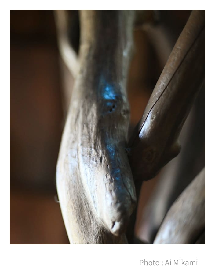 �����쎩�R�т̗l�q