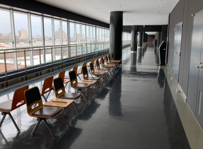 ���R�̌��̊��p