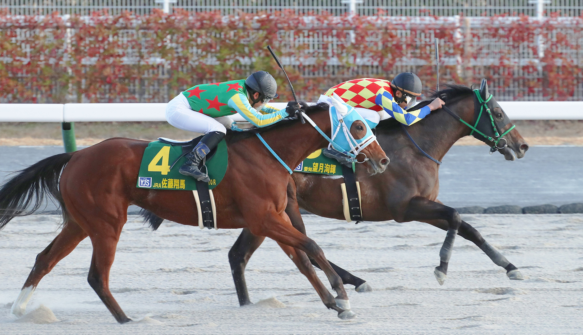 ホースレーシング2024下半期総集編 田口貫太HORSE RACING 2024