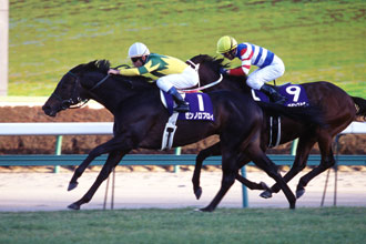 JRA単勝馬券【シルクフェイマス中山競馬5回8日9レース】2004年12月26日-