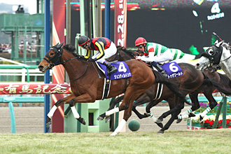 競馬　オルフェーヴルとジェンティルドンナ記念　引退レースの単勝馬券です